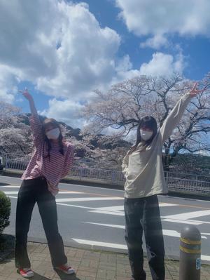 4月だよ〜 - 画像3