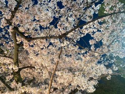 輪郭のない雲に憧れて - 画像4