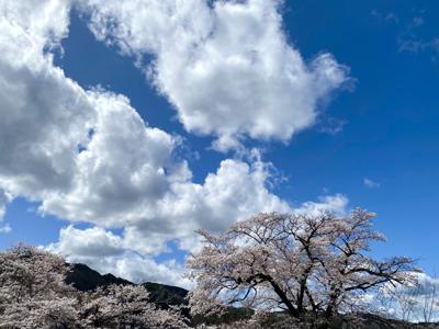 前向きに頑張りたい。弓木奈於 - 画像2