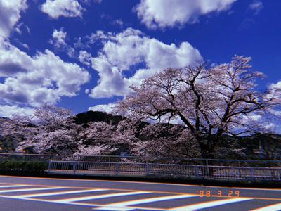 初夏なのかな - 画像3