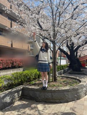 桜色 - 画像2
