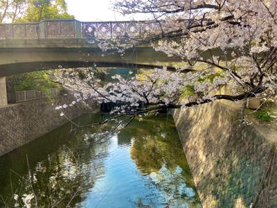 秋きた！ - 画像2