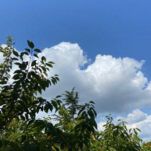 秋きた！ - 画像4