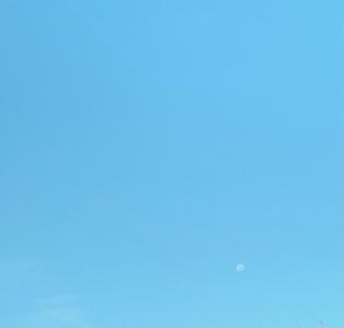 久しぶりの雨の音 - 画像4