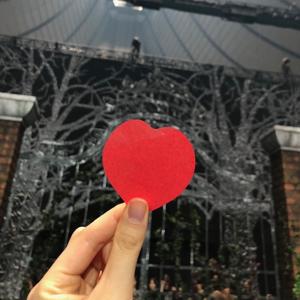 これまで、欅坂を一緒に駆け上のサムネイル