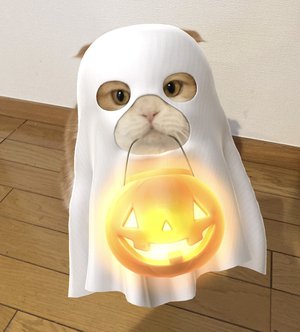 おめでとうございます✨ - 画像4