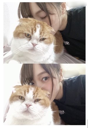 おめでとうございます✨ - 画像6