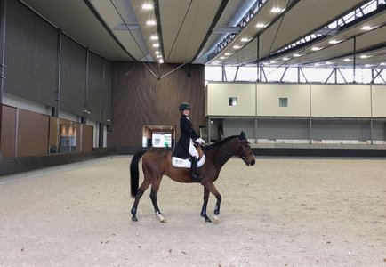 今日もいななきます🐴 - 画像2