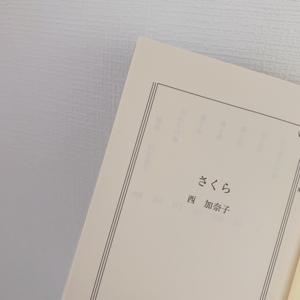 かえでとさくら - 画像4