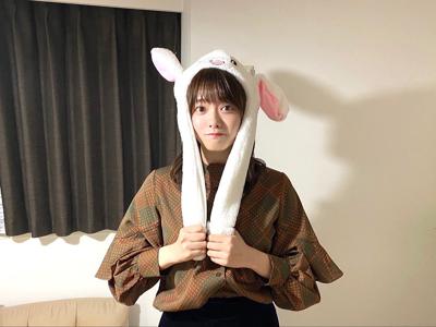 うさぎ - 画像2