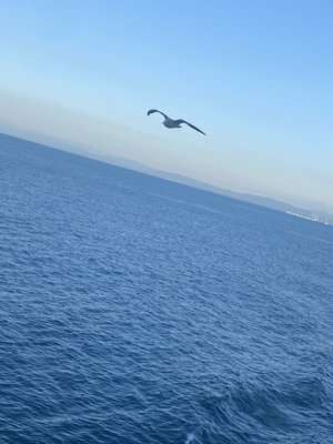 Nobody's_fault🚢 - 画像6