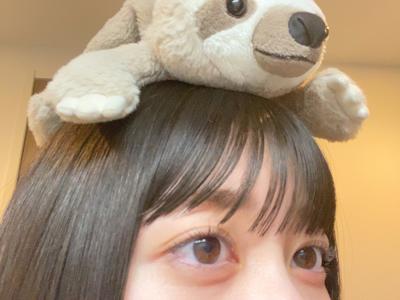 お気に入りのナマケモノちゃんです🦥のサムネイル