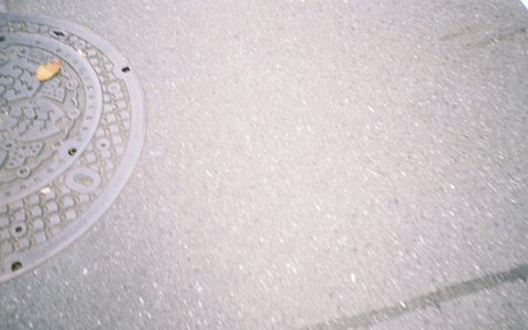 🌸。 - 画像6