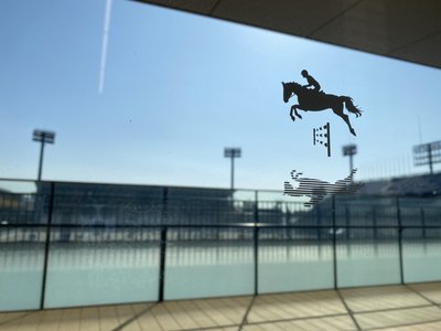 観戦🐴 - 画像2