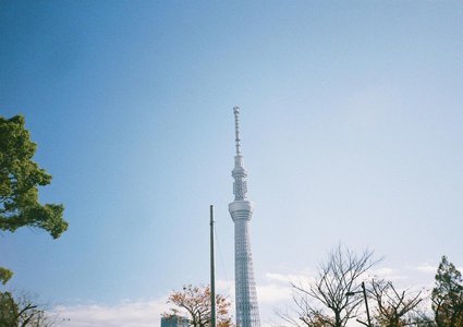 🌸。 - 画像3