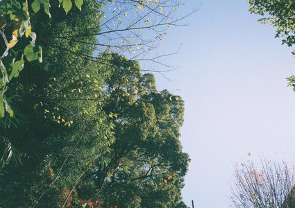 🌸。 - 画像5