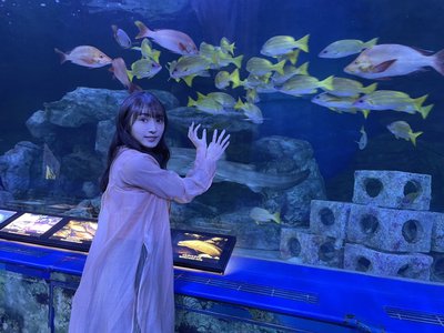 水族館🐠🐡🐟🦈 - 画像5