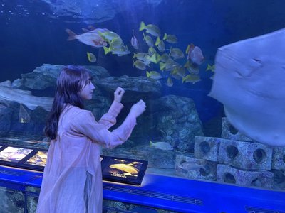 水族館🐠🐡🐟🦈 - 画像6