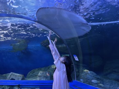 水族館🐠🐡🐟🦈 - 画像7