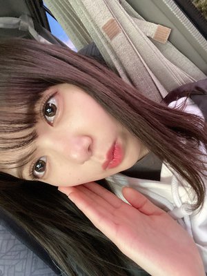 ぜひみてね - 画像4
