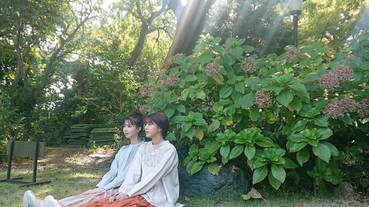 🌸。 - 画像2