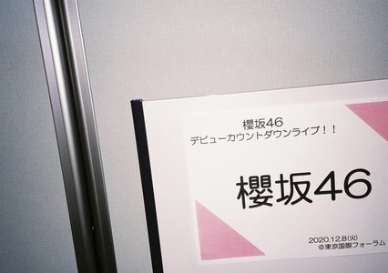 🌸。のサムネイル