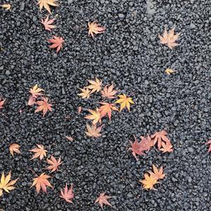 月の写真を携帯で撮ろうと思っても、写真では伝わらなくて諦めますよね、、 - 画像1
