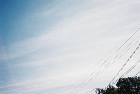 🌸。 - 画像5
