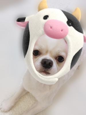 ‪‪☺︎‬のサムネイル