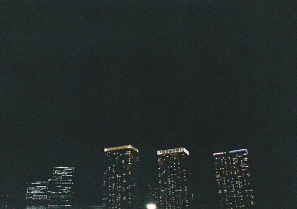 🌸。 - 画像10