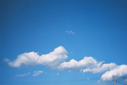 🌸。 - 画像8
