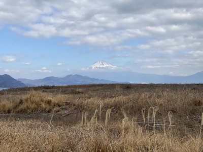 思ったよりも寂しくないよーーーー - 画像12