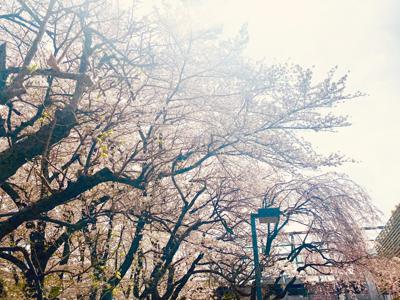 スタート - 画像1