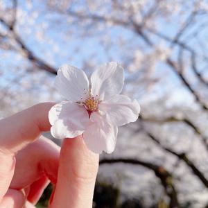 🌸 - 画像1