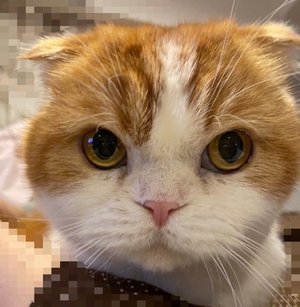 最近のこと🤍そして今夜は… - 画像3