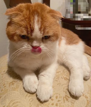 最近のこと🤍そして今夜は… - 画像5