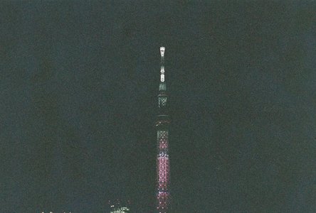 🌸。のサムネイル