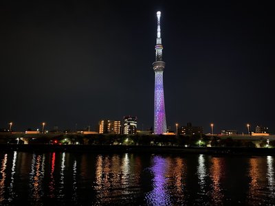 🌸。 - 画像2