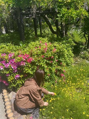 今日は🔖 .· - 画像4
