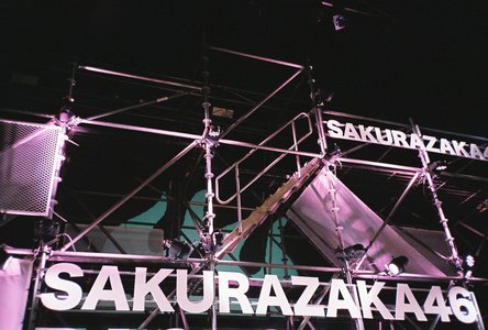 🌸。のサムネイル