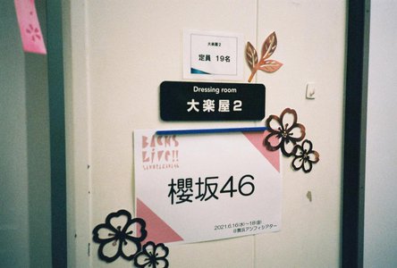 🌸。 - 画像2