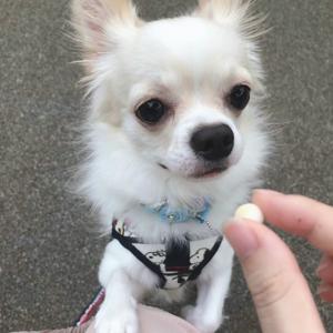 ‪‪☺︎‬のサムネイル