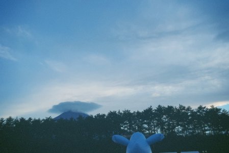 🌸。 - 画像15