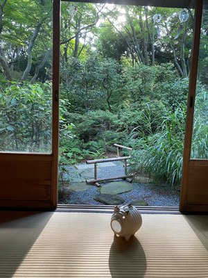 今日は何の日🌳 - 画像7