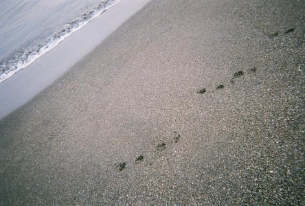 😌のサムネイル