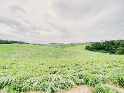 傾斜 - 画像1