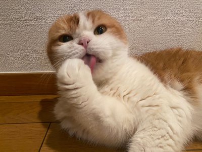 メッセージ✉️ - 画像7