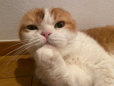 メッセージ✉️ - 画像8