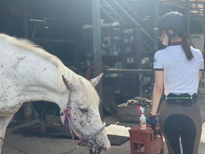 🌸SAKURA_MEGURI🐴 - 画像11