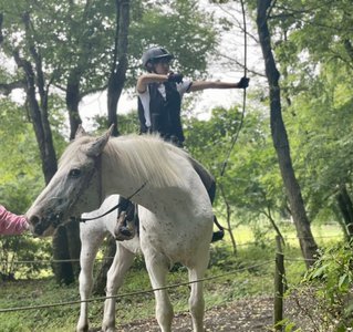🌸SAKURA_MEGURI🐴 - 画像1